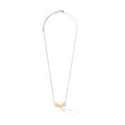 ELEMENTS Collection collana bicolore