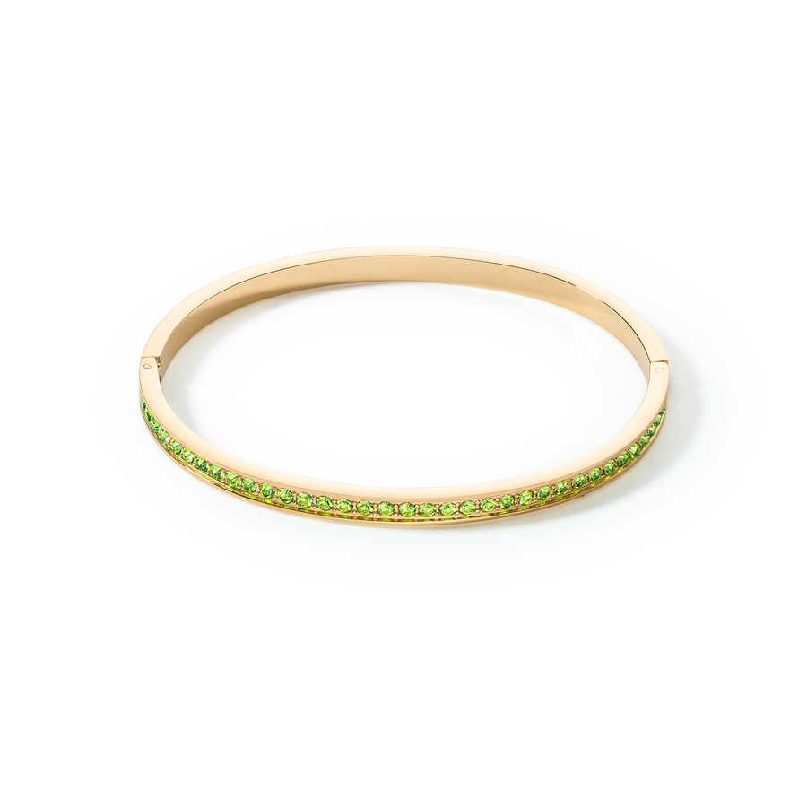 Bracciale rigido in acciaio inossidabile e cristalli oro-verde 19
