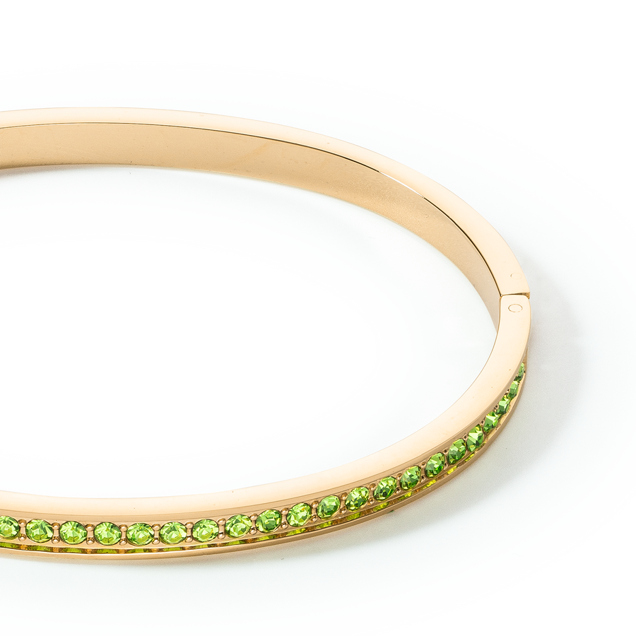 Bracciale rigido in acciaio inossidabile e cristalli oro-verde 19